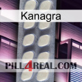 Kanagra 08